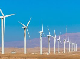 EBRD supports Egypt with first private-to-private electricity contracts