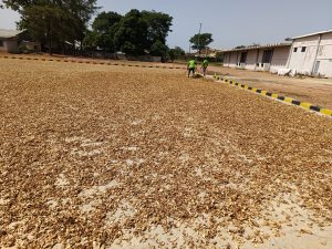 Aavishkaar Capital’s Global Supply Chain Support Fund (GSCSF) Supports the Horizon Group Africa with USD 5 Million Loan to Scale Operations