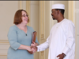 رئيس تشاد يلتقي مساعد وزير الخارجية الأمريكي للشؤون الأفريقية