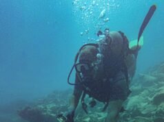 بعثة مصرية تكشف عن بقايا سفينة غارقة وجرار من الفخار في العلمين