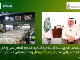 المؤسسة الإسلامية تدعم إدخال صناعة الصوف الصخري إلى مصر وتصديرها إلى السوق العالمي