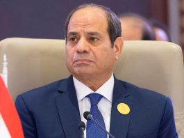 الرئيس السيسي يشارك في قمة مجموعة العشرين بالبرازيل