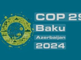 ICD Leads Key Discussions on Sustainable Development and Green Finance at COP29