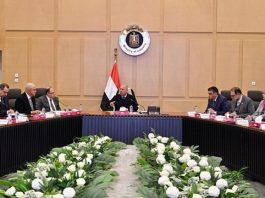 وزير الصناعة والنقل يترأس الاجتماع الثاني للجنة المعنية بوضع حلول لمشاكل ومعوقات صناعة الأدوية في مصر وسبل التغلب عليها