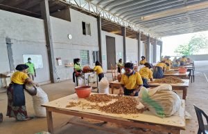Aavishkaar Capital’s Global Supply Chain Support Fund (GSCSF) Supports the Horizon Group Africa with USD 5 Million Loan to Scale Operations Aavishkaar Capital’s Global Supply Chain Support Fund (GSCSF) Supports the Horizon Group Africa with USD 5 Million Loan to Scale Operations