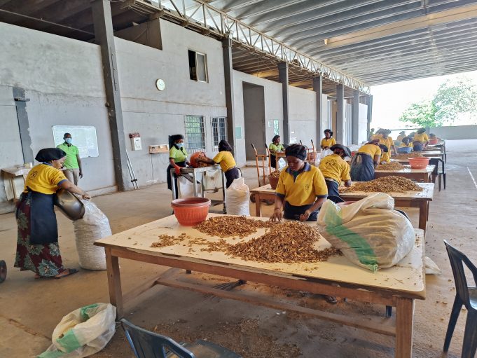 Aavishkaar Capital’s Global Supply Chain Support Fund (GSCSF) Supports the Horizon Group Africa with USD 5 Million Loan to Scale Operations