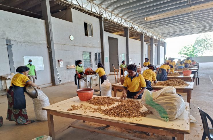 Aavishkaar Capital’s Global Supply Chain Support Fund (GSCSF) Supports the Horizon Group Africa with USD 5 Million Loan to Scale Operations