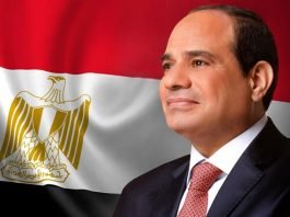 الرئيس عبد الفتاح السيسي يستقبل رئيس مجلس إدارة مجموعة أيه بي موللر ميرسك